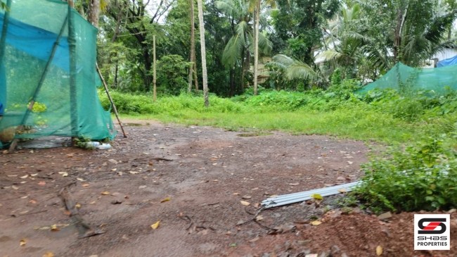 Plot for sale near Pallikunnu, Kannur