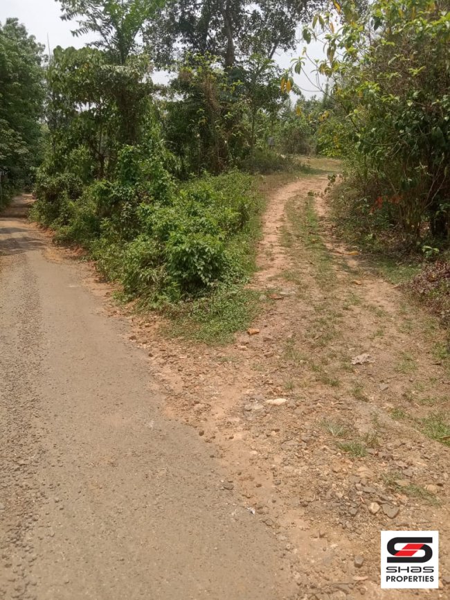 82 cent house plot for sale in Kidangoor , Kottayam 