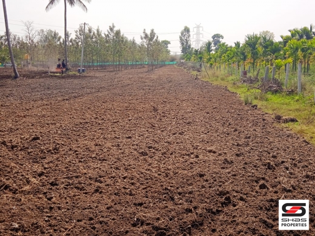 Agricultural land with farmhouse for sale in Coorg, Karnataka