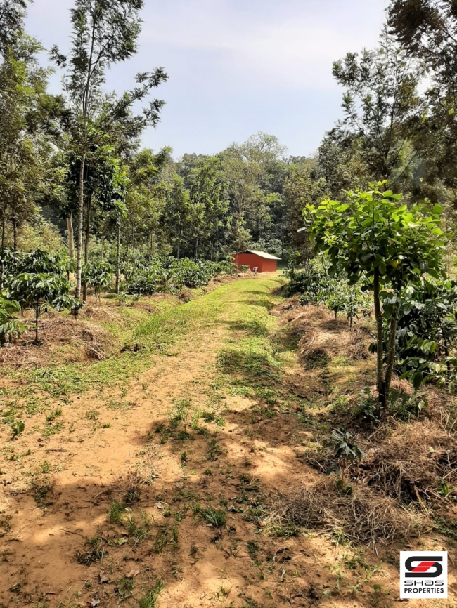 Coffee plantation for sale in Coorg, Karnataka
