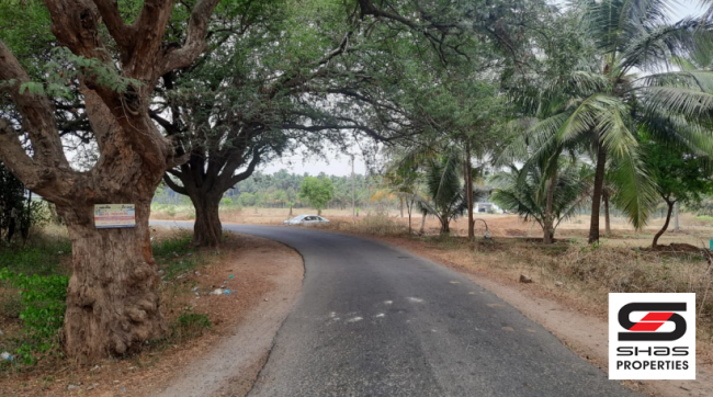 Agricultural land for sale in Coimbatore, Tamil Nadu