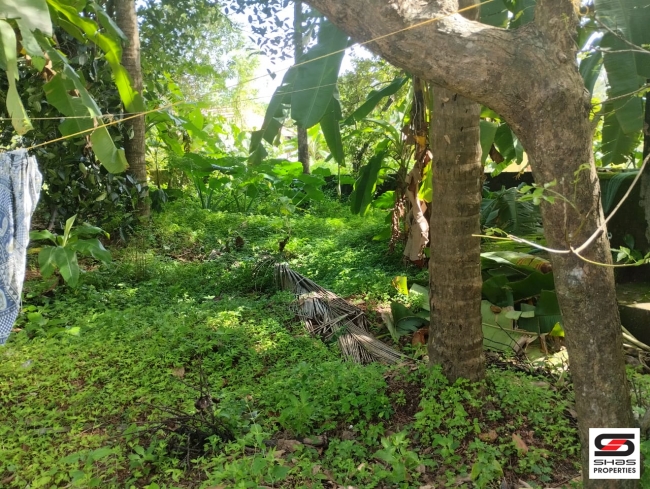 House plot for sale at Chala, Kannur