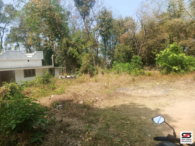Residential land for sale in Kannadi, Palakkad