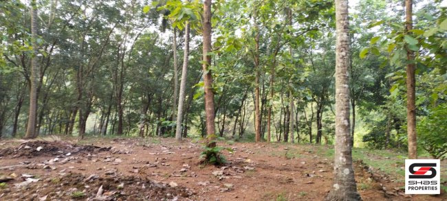 4 BHK house for sale in Perinthalmanna, Malappuram