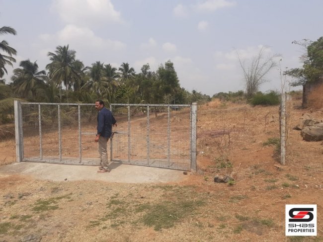 Plot for sale in Elapully, Palakkad