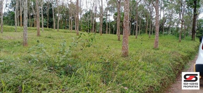House plot for sale in Mananthavady, Wayanad