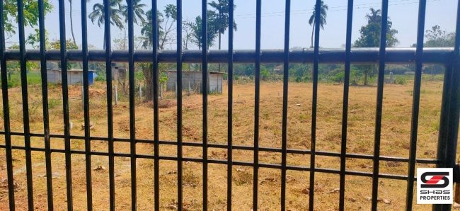 House plot for sale in Thenkurissi, Palghat