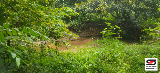 Resort land for sale near Malampuzha, Palakkad