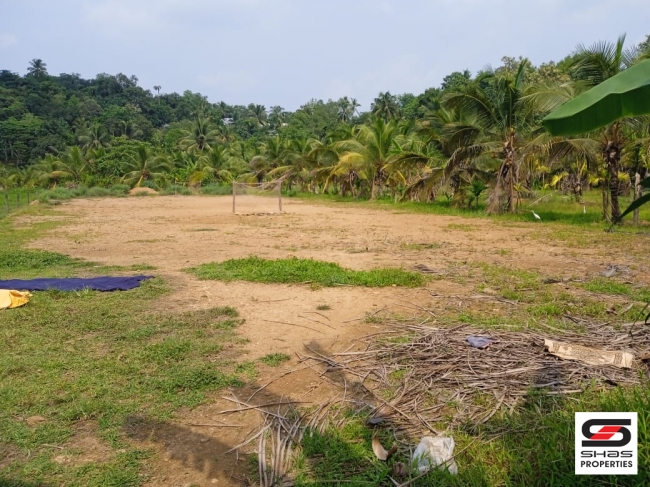 Residential land for sale in Thalayolaparambu, Kottayam