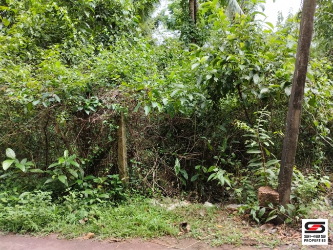 Plot for sale at Chala, Kannur