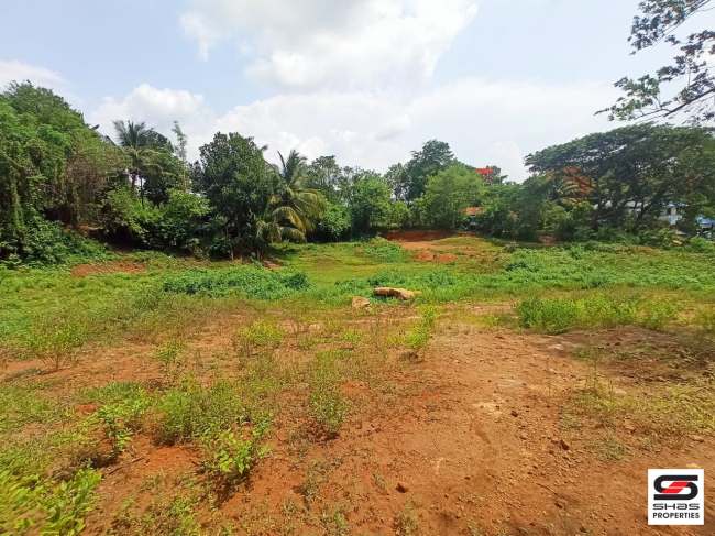 Residential land for sale in Melarcode, Palakkad