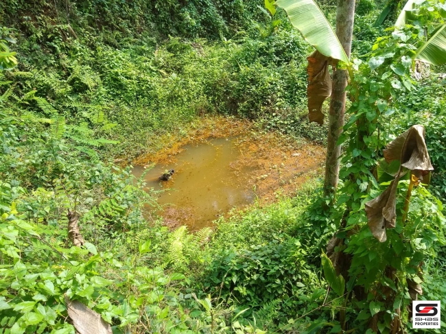 Land for sale at Panampilavu, Malappuram