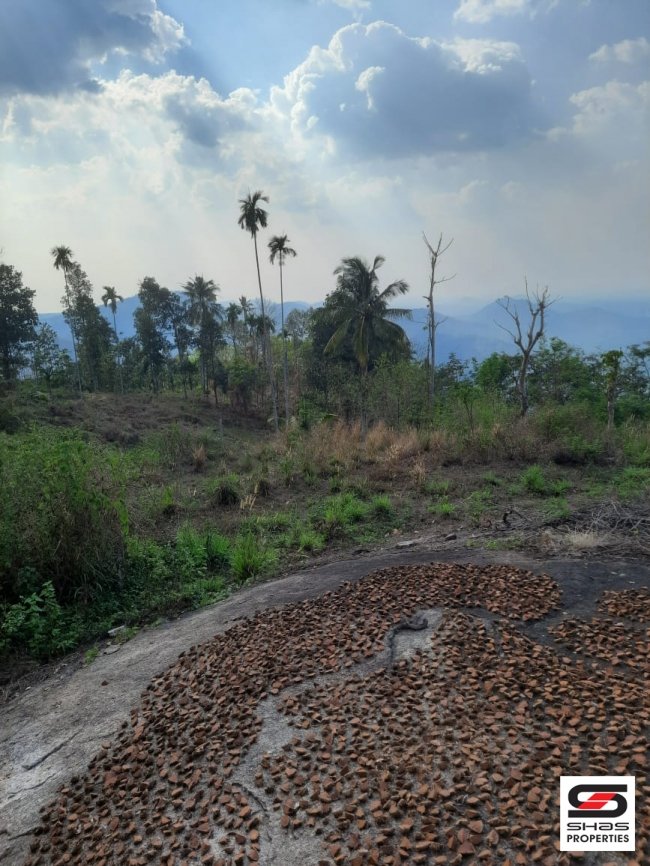 Resort land for sale at Ilaveezhapoonchira, Kottayam