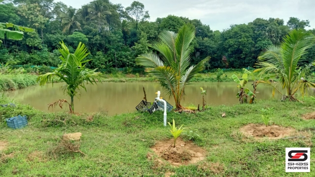 Farmland with farmhouse for sale at Pallassana, Palakkad