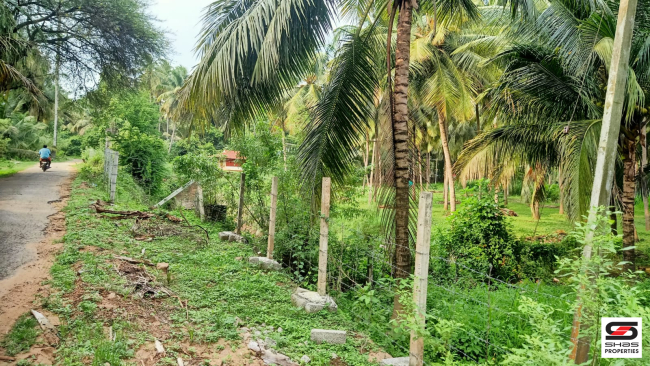 1 Acre farmland for sale in Ozhalapathy, Palakkad