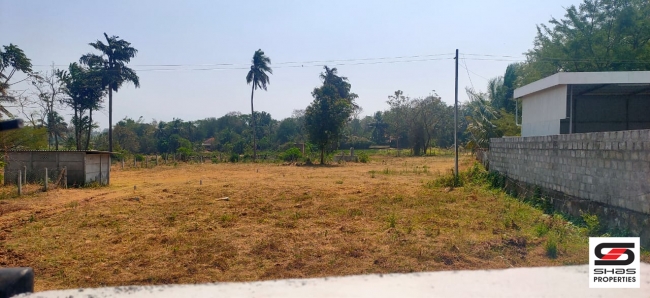 House plot for sale in Kinassery, Palakkad