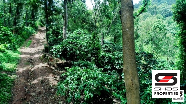 Coffee estate for sale in Ponnampet, Coorg