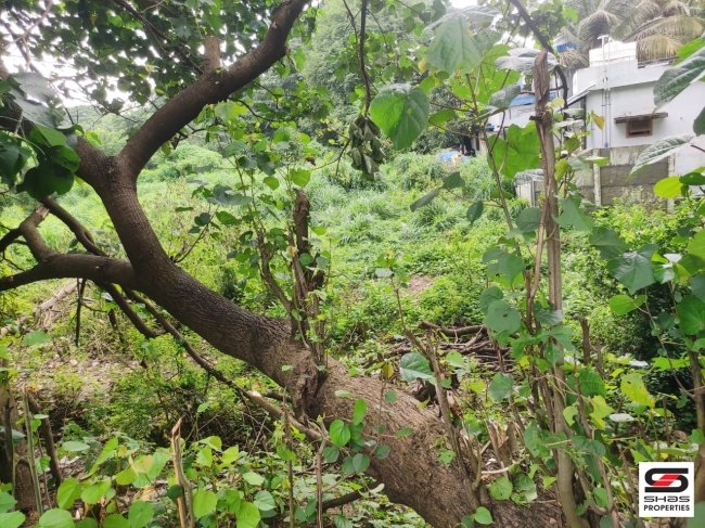 Commercial plot for sale in Olavakode, Palakkad