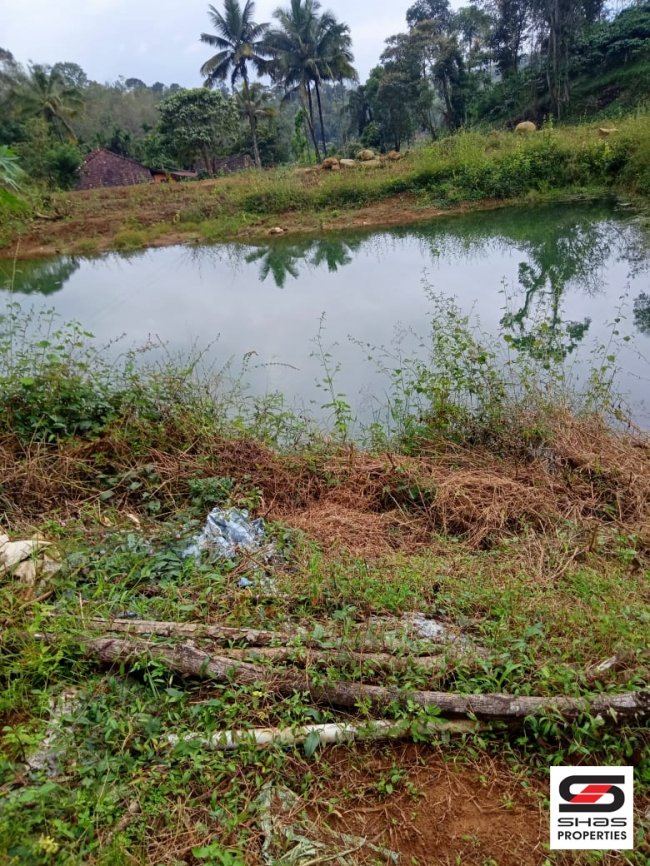 Coffee Estate with house for Sale in South Coorg, Karnataka