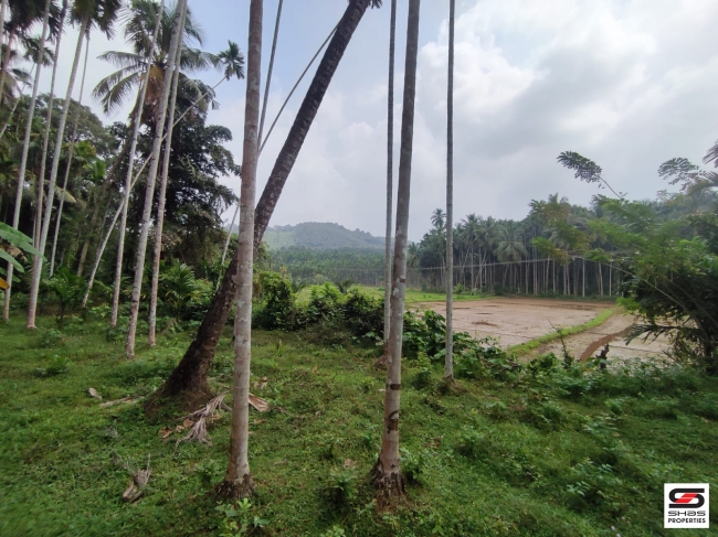 Land with traditional house for Sale at Mannarkad, Palakkad
