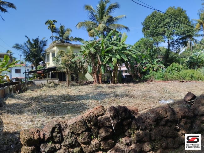Plot  for sale  in Pallikkunnu, Kannur