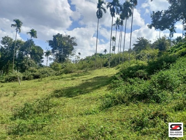 Residential plot for sale in Kenichira, Wayanad