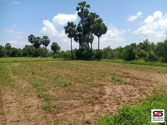 7 Acres land for sale in Velanthavalam, Palakkad