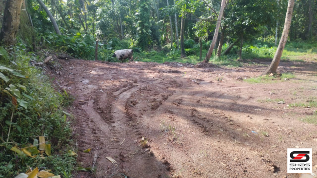 Commercial land for sale at Thazhe Chovva, Kannur