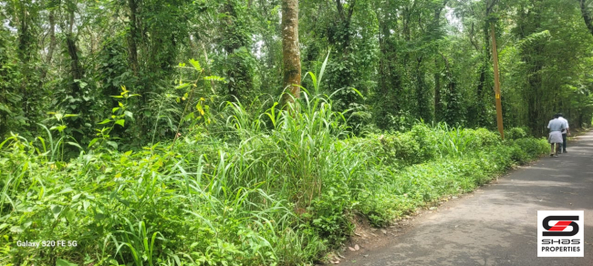 Land for sale near Padichira, Wayanad
