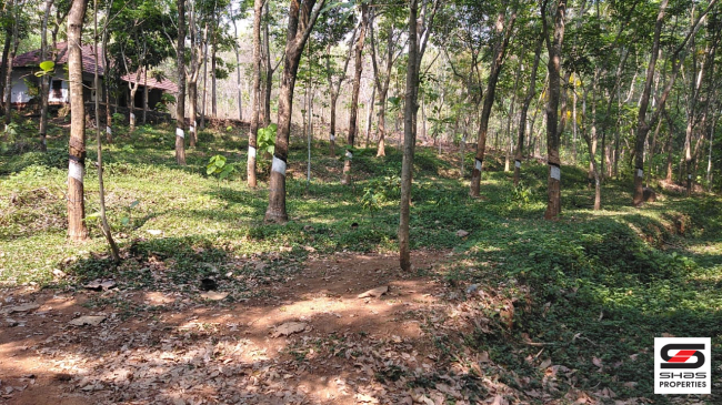 4.5 Acre plot for sale in Chelakkara, Thrissur