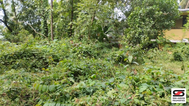 Residential plot for sale at Kakkad,Kannur