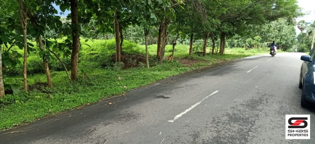 Farmland for sale in Malampuzha, Palakkad