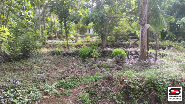 Land suitable for villa project for sale at Kannur