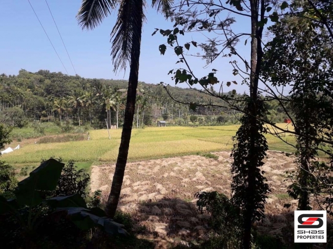 Land with house for sale in Kenichira, Wayanad