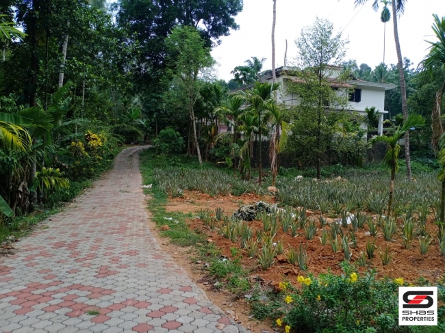 Land with house for sale in Paingottoor, Ernakulam