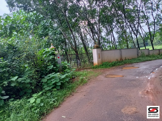 Farmland for sale in Kongad, Palakkad