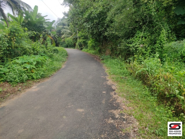 Plot for sale in Thenkurissi, Palakkad