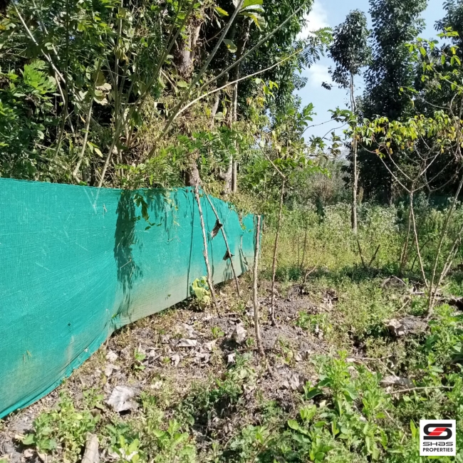 River view plot for sale at Pulpally, Wayanad