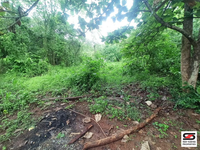 House plot for sale at Melarcode, Palakkad