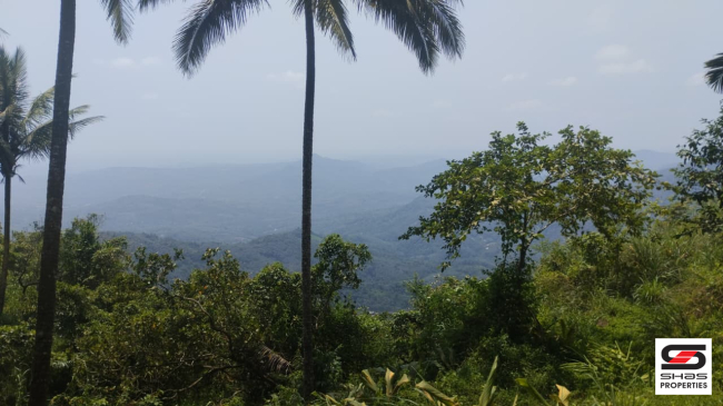 Land for sale in Paithalmala, Kannur