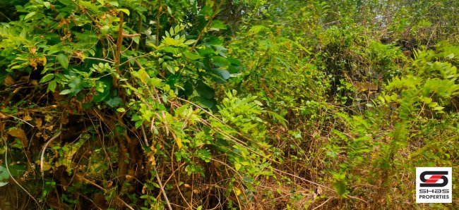 Villa project land for sale in Vellarakkad, Thrissur