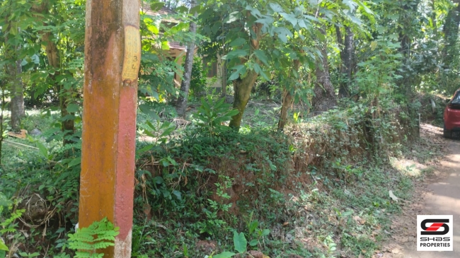 House plot for sale in Alavil,Kannur