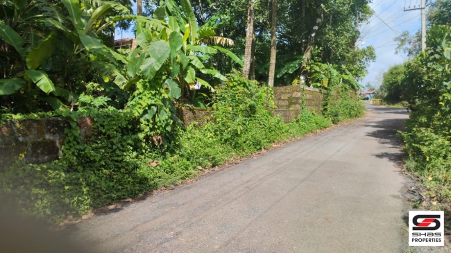 House plot for sale at Chala, Kannur