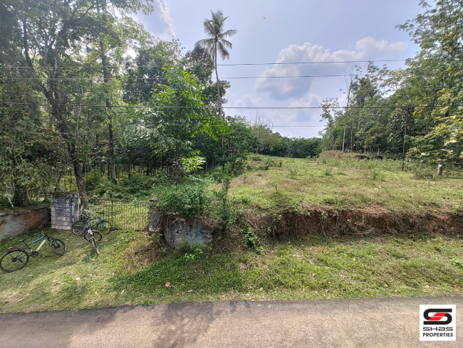 1 Acre plot for sale in Thodupuzha, Idukki