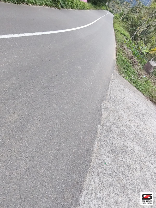 Land with house for sale near Nellimalam town, Wayanad