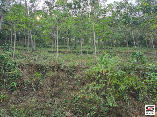 Rubber plot for sale near Edamala, Kottayam