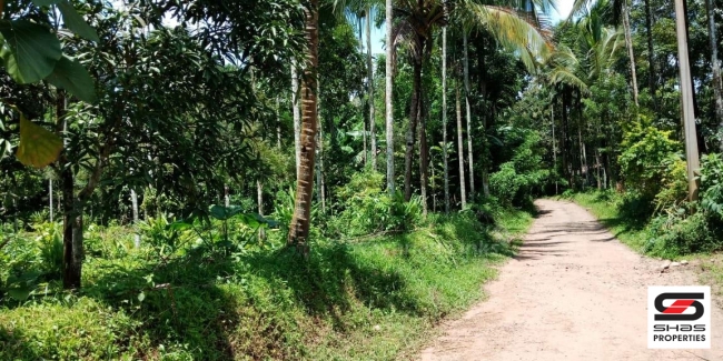 Land for sale in Kenichira, Wayanad Kerala