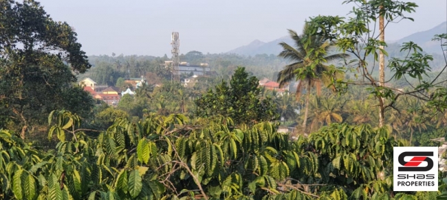 Land for sale near Vythiri, Wayanad