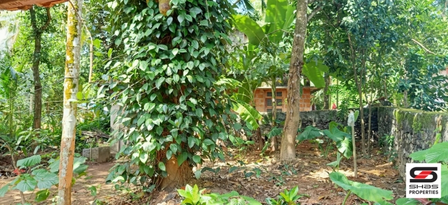 4 BHK house for sale in Kadampazhipuram, Palakkad