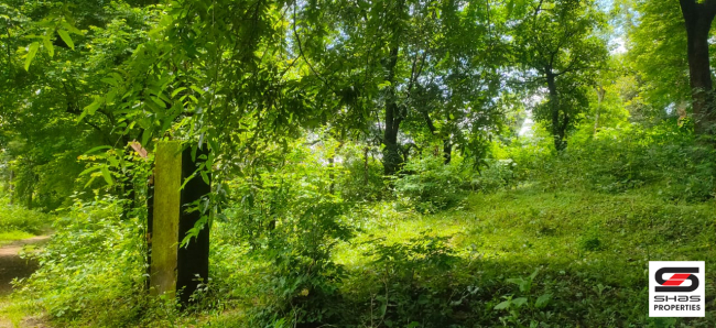 Resort land for sale near Malampuzha, Palakkad